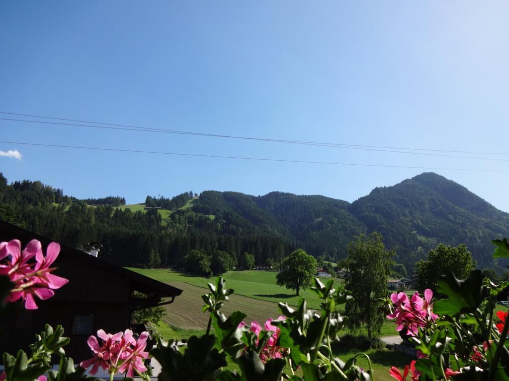 Haus Sylvia Διαμέρισμα Reith im Alpbachtal Δωμάτιο φωτογραφία